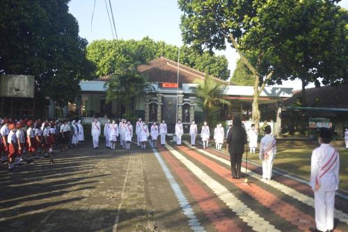 Paskibra petugas stella