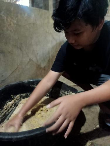 Latihan-membuat-makanan-sapi